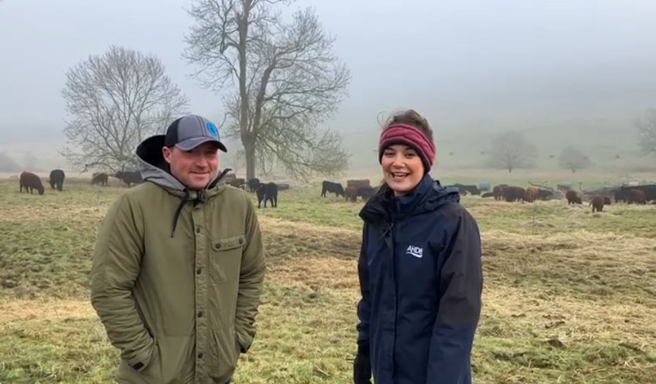 Arron Nerbas and Sarah Penrose stood in a field with cows